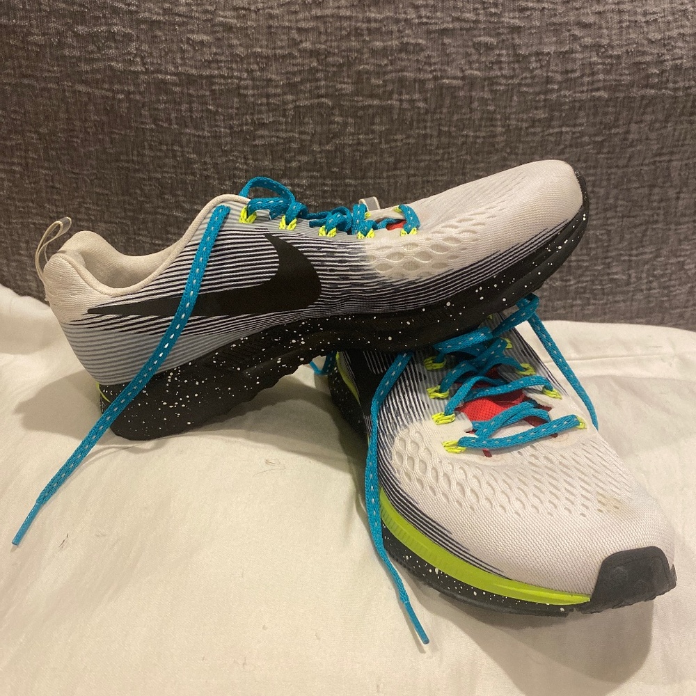 Custom NikeID Nike Shield Pegasus 34